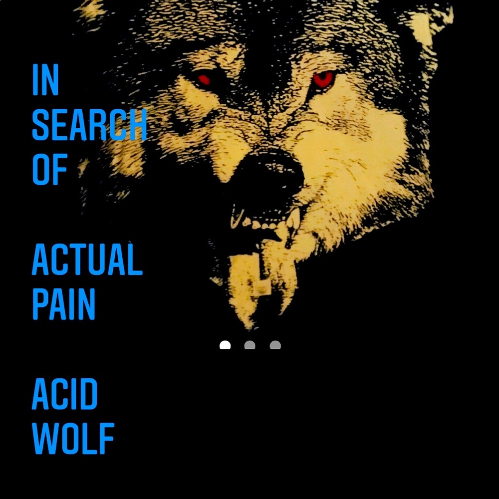 Seeking Actual Pain’s “Acid Wolf”
